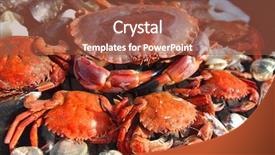  Presentation with charcoal - PPT theme consisting of crabs shrimps on charcoal grill background and a red colored foreground