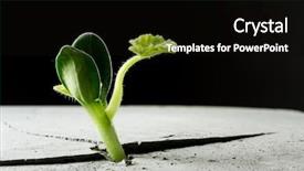  Presentation with crack - Slide deck featuring crack concrete - new growing life background and a black colored foreground
