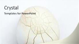  Presentation with crack - Colorful presentation design enhanced with crack white chicken egg backdrop and a cool aqua colored foreground