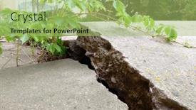  Presentation with plant roots - Presentation design featuring cracked-and-broken-sidewalk-cement background and a mint green colored foreground