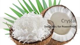  Presentation with cracked - PPT theme featuring cracked-coconut-and-shredded-coconut background and a light gray colored foreground