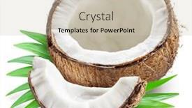  Presentation with coconut fruit - Presentation having cracked-coconut-fruit-with-piece background and a soft green colored foreground