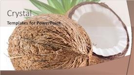  Presentation with coconut fruit - Audience pleasing PPT layouts consisting of cracked-coconut-fruit-with-white backdrop and a coral colored foreground