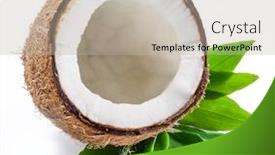  Presentation with green coconut - Slide set featuring cracked-coconut-half-with-white background and a mint green colored foreground