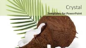 Presentation with cracked - Audience pleasing theme consisting of cracked coconuts on white background close-up backdrop and a soft green colored foreground