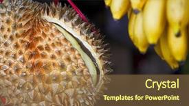  Presentation with fruit banana - Beautiful theme featuring cracked durian fruit and banana backdrop and a tawny brown colored foreground