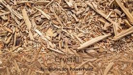  Presentation with lumber - Audience pleasing PPT layouts consisting of cracked-wooden-and-lumber-sawdust backdrop and a coral colored foreground