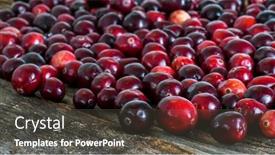  Presentation with rustic - Slide deck featuring cranberry-background-on-rustic-wooden background and a dark gray colored foreground