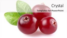  Presentation with chemistry leaves green leaf - PPT layouts having cranberry fruit - cranberries with leaves background and a white colored foreground