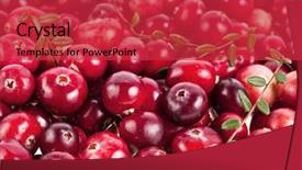  Presentation with leaves - Presentation theme with poison frog costa rica and nicaragua beautiful poisonous animal from the central american tropical rain forest red and blue exotic amphibian background and a tawny brown colored foreground