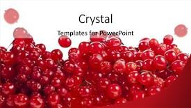  Presentation with berries - Beautiful presentation theme featuring cranberry fruit - red berries viburnum on white backdrop and a white colored foreground