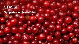  Presentation with fruit - Slides consisting of cranberry fruit - red cranberries background background and a crimson colored foreground