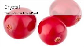  Presentation with background - Slide set with cranberry-isolated-on-white-background background and a white colored foreground