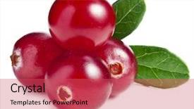 Presentation with cranberry juice - PPT layouts with  background and a  colored foreground.