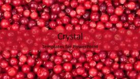  Presentation with cranberry juice - PPT theme enhanced with cranberry juice - abstract background from fresh cowberry background and a crimson colored foreground
