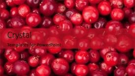  Presentation with cranberry juice - Amazing slides having cranberry juice - abstract background from fresh cowberry backdrop and a  colored foreground