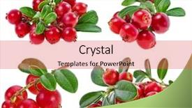  Presentation with cranberry juice - Slide deck featuring cranberry juice - collection set fresh cranberries isolated background and a red colored foreground