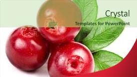  Presentation with cranberry juice - Audience pleasing presentation theme consisting of cranberry juice - cowberry isolated on white background backdrop and a mint green colored foreground
