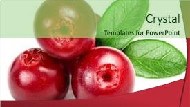  Presentation with cranberry juice - Audience pleasing slides consisting of cranberry juice - cowberry lingonberry vaccinium vitis-idaea isolated backdrop and a seafoam green colored foreground
