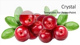 Presentation with cranberry juice - Beautiful PPT layouts featuring cranberry juice - cranberries isolated on white background backdrop and a white colored foreground