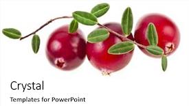  Presentation with cranberry juice - Amazing slide set having cranberry juice - cranberries isolated on white background backdrop and a white colored foreground