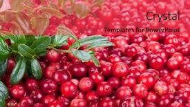  Presentation with cranberry juice - Audience pleasing PPT theme consisting of cranberry juice - fresh cowberry with green leaves backdrop and a red colored foreground