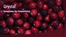  Presentation with cranberry juice - Colorful slide deck enhanced with cranberry juice - fresh cranberries spread backdrop and a wine colored foreground
