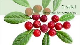  Presentation with cranberry juice - Theme with cranberry juice - frozen cowberries with leaves isolated background and a mint green colored foreground
