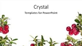  Presentation with cranberry juice - Cool new presentation design with cranberry juice - red cowberries half frame isolated backdrop and a white colored foreground