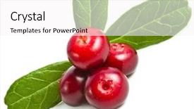  Presentation with cranberry juice - Colorful PPT theme enhanced with cranberry on white backdrop and a white colored foreground