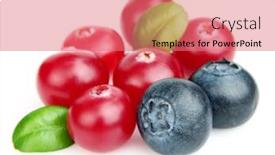  Presentation with nutrition - Slides consisting of cranberries - cranberry with blueberry use it background and a coral colored foreground