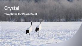  Presentation with mobile crane on a road - Cool new slides with crane backdrop and a gray colored foreground