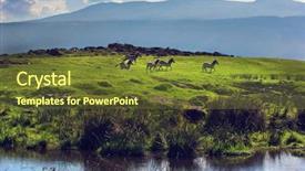  Presentation with hill - Presentation having craters - zebras on green grassy hill background and a tawny brown colored foreground