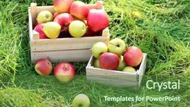  Presentation with green apples - Cool new presentation with crates-of-fresh-ripe-apples backdrop and a tawny brown colored foreground