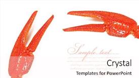  Presentation with white clay tiled roof - Presentation theme enhanced with crawfish - claws crayfish closeup isolated background and a pink colored foreground