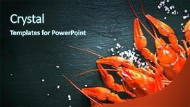  Presentation with dark space - Slide set consisting of crawfish closeup red boiled crayfish background and a tawny brown colored foreground