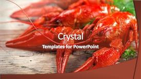 Presentation with red boiled crawfish food - Slides featuring crawfish crayfish red boiled crawfishes background and a crimson colored foreground