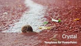  Presentation with snail - Amazing theme having crawl walk run - snail on running track backdrop and a tawny brown colored foreground