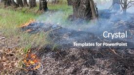  Presentation with forest fire - Audience pleasing slide set consisting of crawling fire of burning grass backdrop and a seafoam green colored foreground