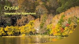 Presentation with forest - Beautiful presentation featuring cray - beautiful forest and lake backdrop and a  colored foreground