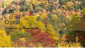  Presentation with forest - Slide set with cray - beautiful forest in autumn background and a  colored foreground