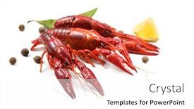  Presentation with herbs - Slide set consisting of crayfish-crawfish-closeup-red-boiled background and a white colored foreground