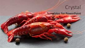  Presentation with slate - Slide set with crayfish-crawfish-closeup-red-boiled background and a coral colored foreground