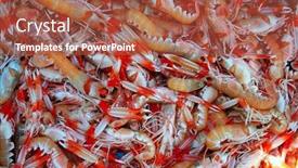  Presentation with seafood - Beautiful presentation theme featuring crayfish-nephrops-norvegicus-many-seafood backdrop and a red colored foreground