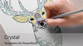  Presentation with anti stress - Presentation theme having crayon in adult anti background and a  colored foreground