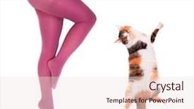  Presentation with crazy - Amazing PPT theme having cats musical - crazy fun woman and her backdrop and a sky blue colored foreground