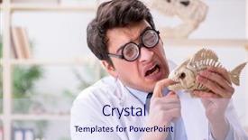  Presentation with funny animal - Beautiful presentation theme featuring crazy professor studying animal skeleton backdrop and a sky blue colored foreground