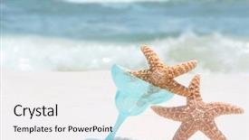  Presentation with starfish - Slide set featuring starfish having fun on beach background and a white colored foreground