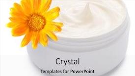  Presentation with calendula - Amazing slides having cream and calendula flower backdrop and a  colored foreground
