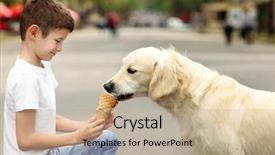  Presentation with dog feeds - Audience pleasing PPT layouts consisting of cream cute dog on street backdrop and a mint green colored foreground
